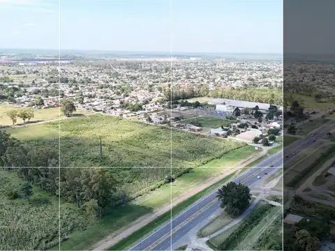 Terreno en Alquiler de 63646,0 m2