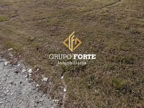 Puerto Del Aguila 100