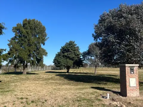 Mirabosques