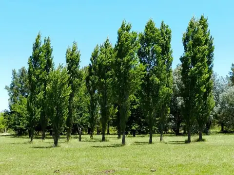 Terreno en Venta de 1006,0 m2