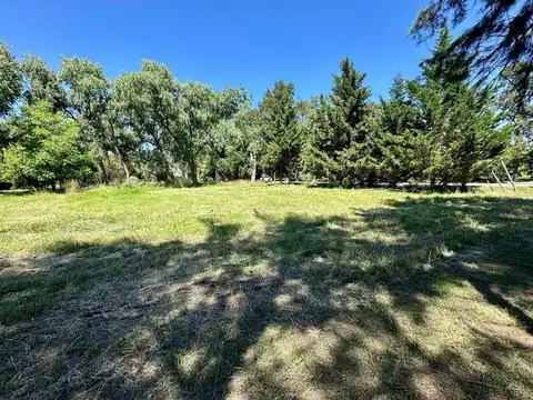 calle central y calle 12 1100