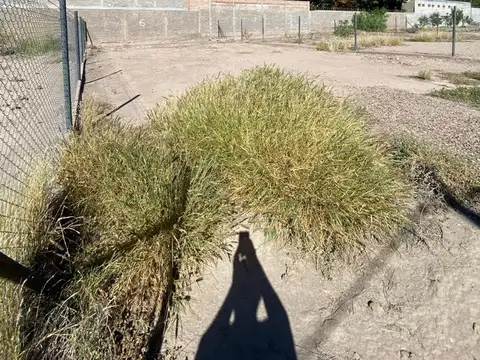 Terreno en Venta de 284,0 m2