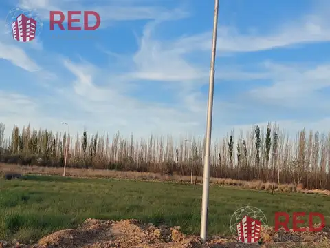 Vende Terreno Loteo La Agustina en Allen