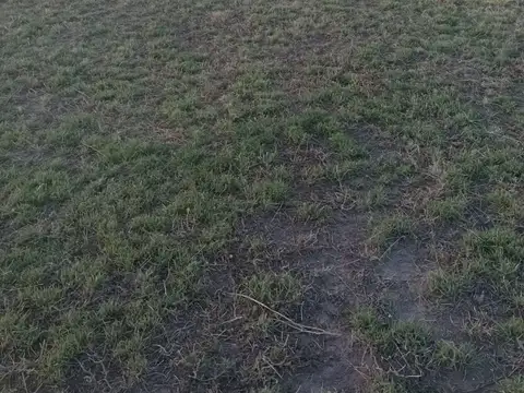 Terreno en Venta de 1002,0 m2