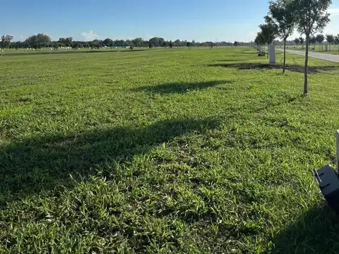 Terreno en Venta 20  mts Fondo