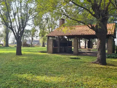 Campo de 40ha en Carlos Keen con hermosa arboleda