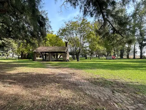 40ha en Carlos Keen