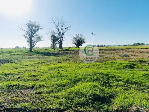 Terreno en Venta de 1905,0 m2