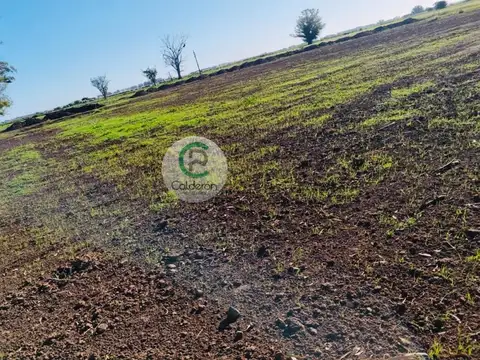 Venta Lote Villa de Campo Tres Pinos Barrio Casco.