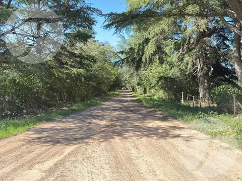 Venta de Campo de 5 hectáreas productivas - Gobernador Castro, San Pedro