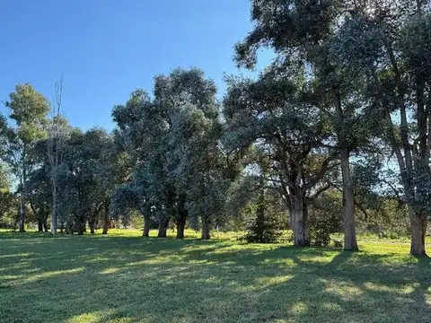 Terreno en Venta de 949,0 m2