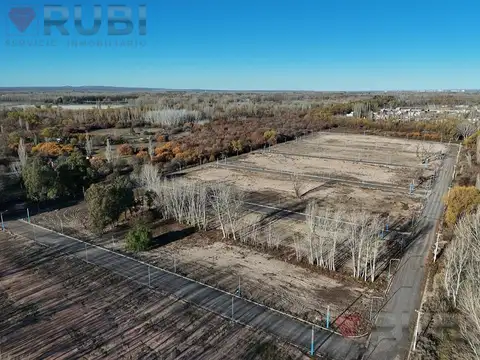 Terreno - Centenario