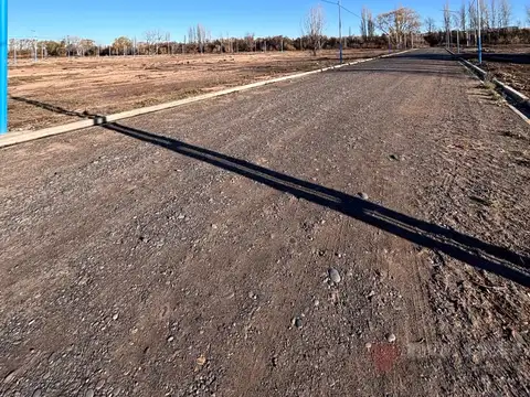 Terreno en Venta en Centenario, USD 28.000