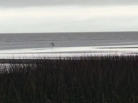 Casa en Venta en Punta Indio, USD 52.000