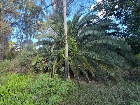 Terreno en Venta en El Remanso, USD 59.000