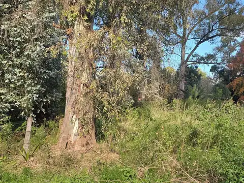 Terreno Lote  en Venta en El Remanso, Exaltación de la Cruz, G.B.A. Zona Norte