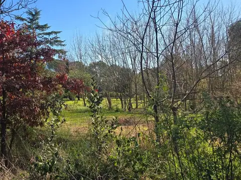 Terreno Lote  en Venta en El Remanso, Exaltación de la Cruz, G.B.A. Zona Norte