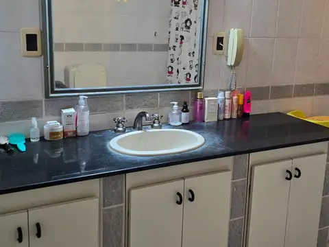 Carlos Pellegrini 300