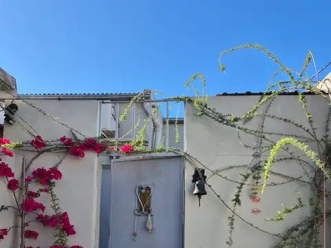 MARTINA CESPEDES 3100