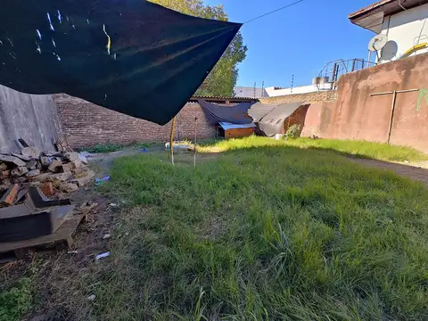 Leonardo da Vinci 4940