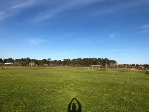 Terreno en Alquiler de 45000,0 m2