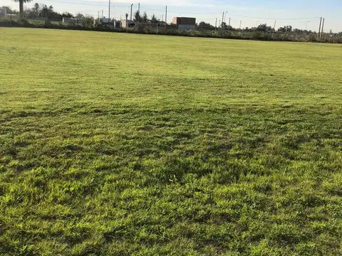 ALQUILER DE PREDIO DEPORTIVO 5 Y 630