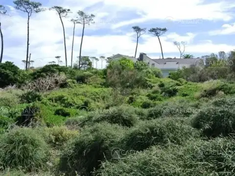 Terreno en Venta de 3000,0 m2