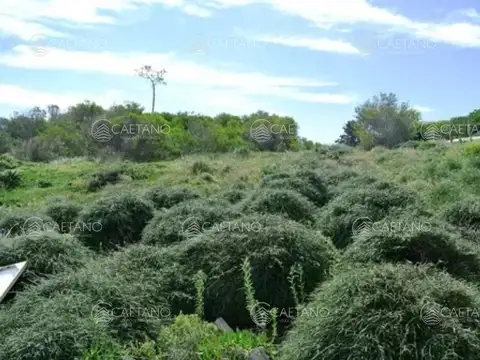 Terreno en Venta 45  mts Frente