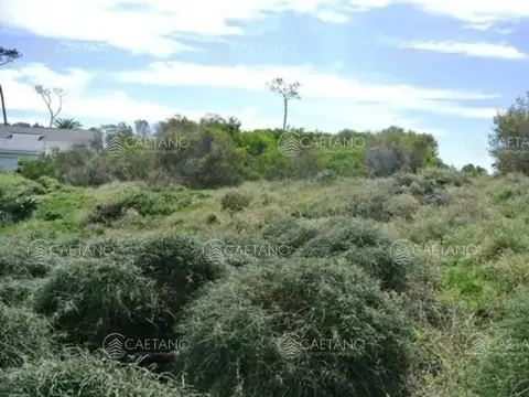 Terreno en Venta, FOT 100