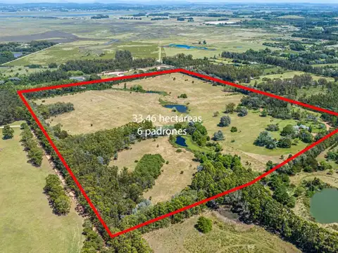 Campo en Venta de 34  ha