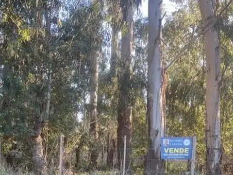 Lote en la elena con agua corriente,gas y electricida Tandil