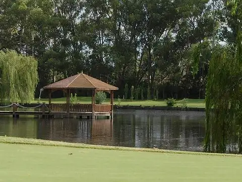 467 y 146 - Grand Bell