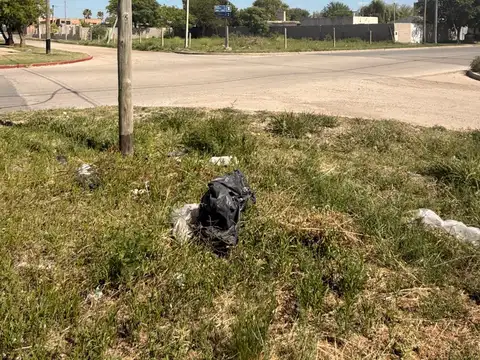 Terreno en Venta 50  mts Fondo