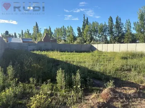 TERRENO EN VENTA EN CINCO SALTOS