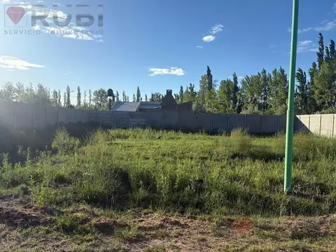 TERRENO EN VENTA EN CINCO SALTOS