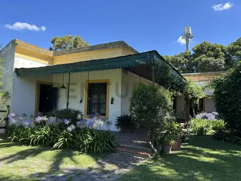 167 y 84