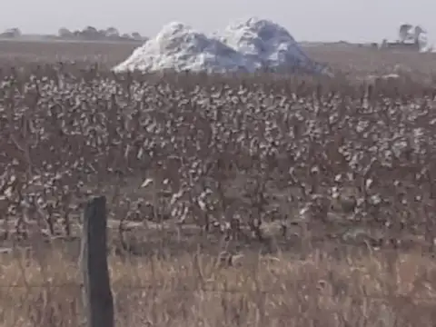 Estancia agrícola ganadera
