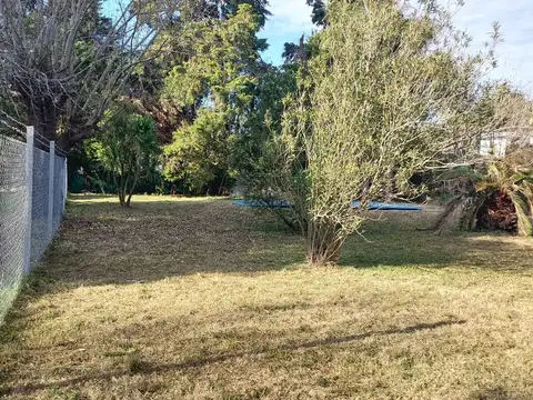 CAPDEVILLA Y RODO P SAKURA