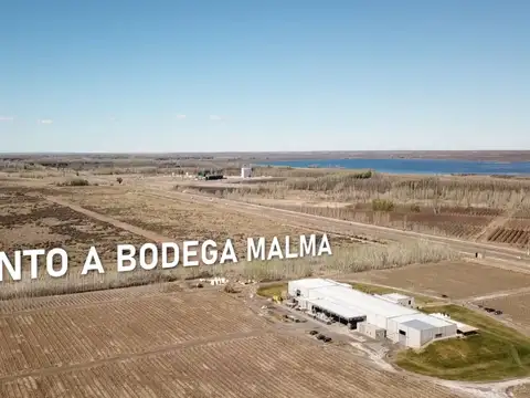 NODO LAS CORTADERAS | LOTE LC9