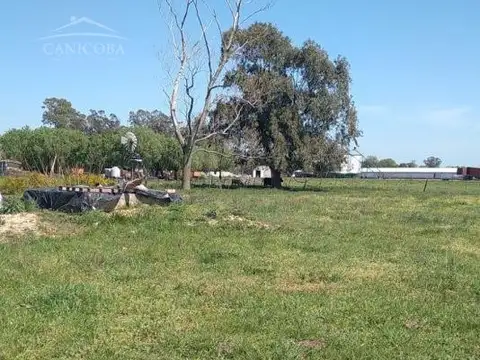 6 ha en Coronel Vidal