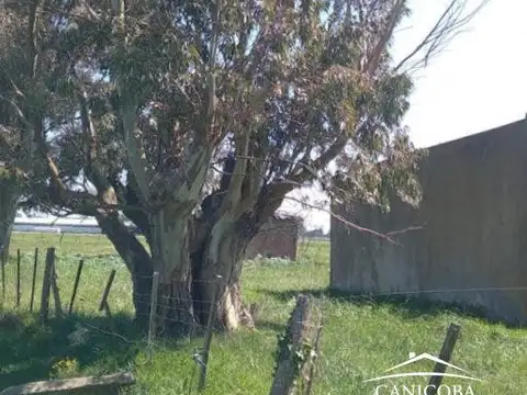 6 ha en Coronel Vidal