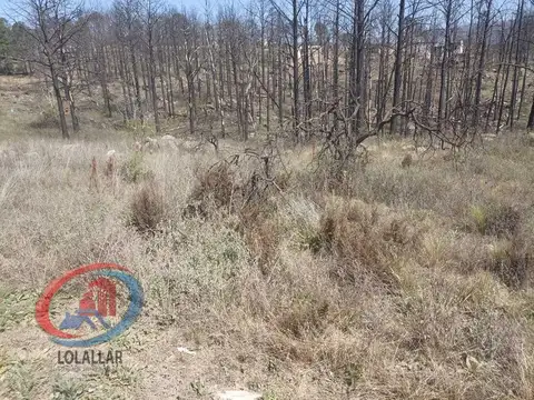 LOTE  EN BARRIO CERRADO VILLA DEL CONDOR