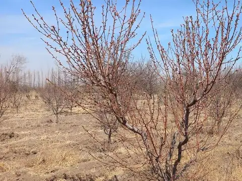 VENTA DE FINCA CON CASA EN SAN RAFAEL - RAMA CAIDA