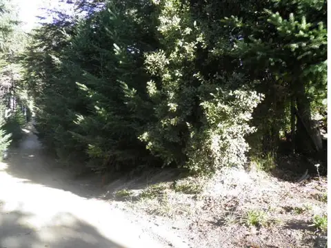 Lote en Altos Puerto Manzano