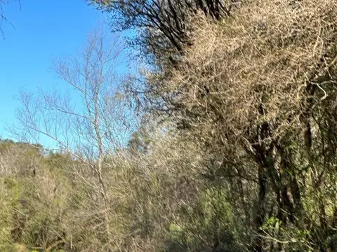 Chacras Al Río