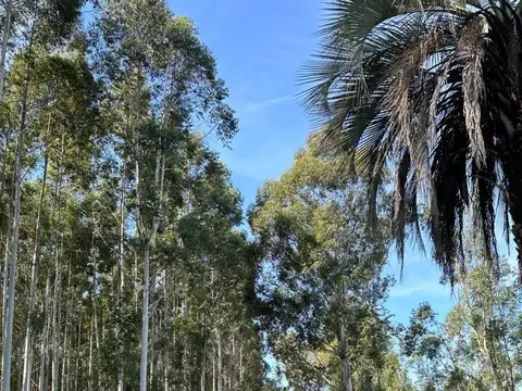 Chacras Al Río