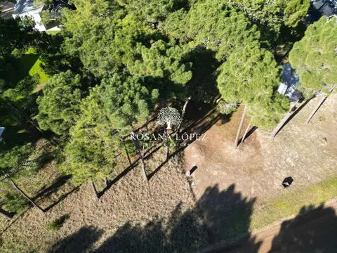 Venta Lote Alamos II