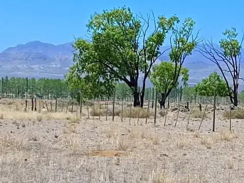 Terreno en Venta en Uspallata, USD 21.000