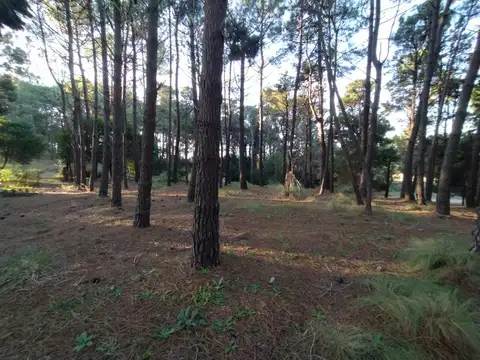 Terreno en Venta de 675,0 m2
