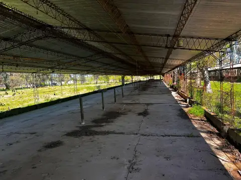 Terreno en Alquiler 320  mts Fondo